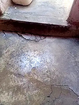 rau 4455 online show from November 15, 10:06 am