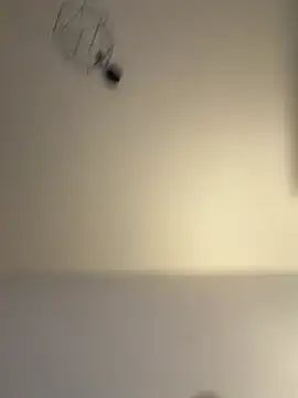 Guitccch online show from February 22, 2:46 am