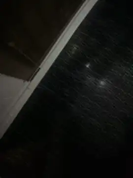 cheesecoc online show from February 8, 1:00 am