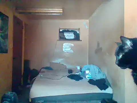Snapshot of Nightshade7712 chatting on February 4, 5:55 pm Nightshade7712 online show from February 4, 5:55 pm