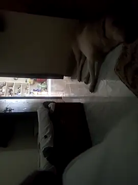 Believerrrr online show from April 25, 9:23 am