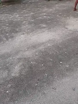 Ajith mvi online show from April 1, 1:07 am