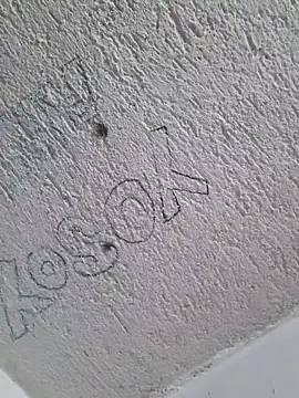 Ernesto696967 online show from February 4, 4:24 pm