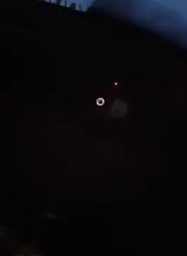 ScrawnyMotor3 online show from October 2, 4:33 pm