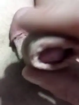 El22 1431 online show from February 25, 5:08 am