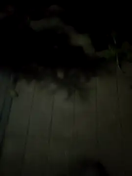 Rajupink 21 online show from March 27, 9:49 pm