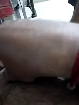 findmemylove online show from November 8, 6:00 pm