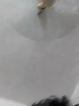 Shivaa- online show from October 19, 4:54 pm