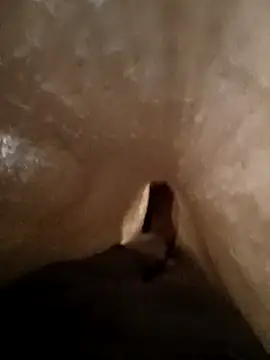 Shivaa- online show from March 21, 8:19 am