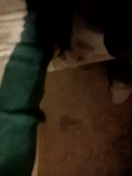 Snapshot of ySqmbVanbe chatting on November 2, 3:00 am ySqmbVanbe online show from November 2, 3:00 am