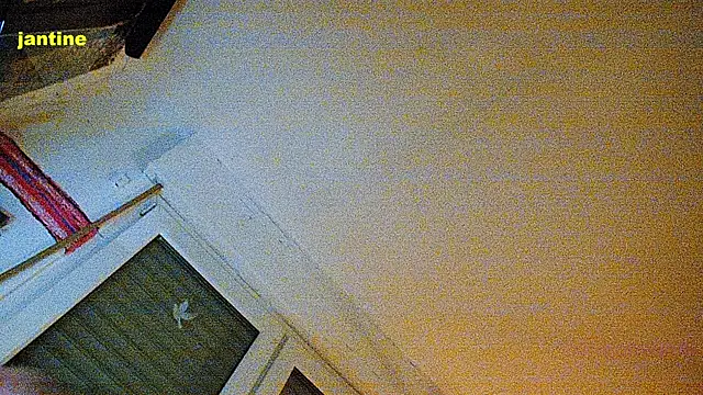 Snapshot of BongChannel chatting on January 22, 11:53 pm BongChannel online show from January 22, 11:53 pm