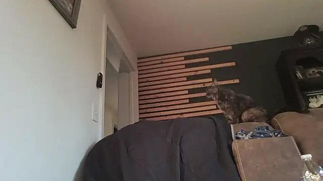 keiferkriss online show from January 7, 9:31 pm