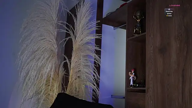 Josep Davies online show from November 15, 9:06 pm