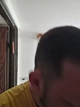 zefside42 online show from February 11, 11:37 am