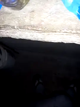 pujarteag online show from April 8, 5:51 am