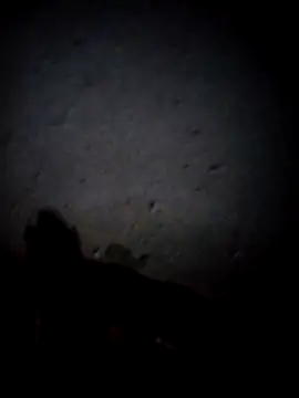 Sipho1992 online show from February 15, 8:17 pm