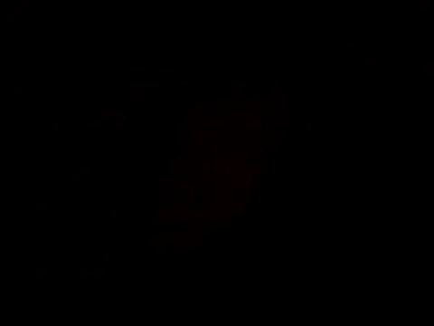 pnp0Japan online show from February 18, 4:49 pm