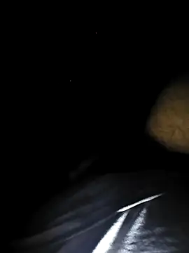 SpineToon online show from February 5, 7:15 am