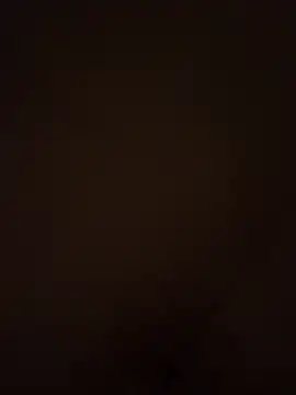 Wynni online show from February 7, 12:23 pm