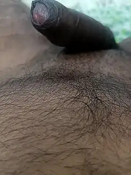 sat 1234 online show from November 12, 5:51 pm