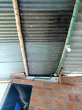 Tuo yuan online show from December 6, 5:00 pm