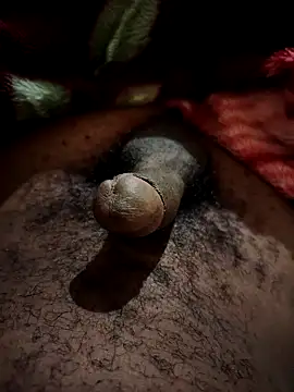 TornadoStorm35 online show from April 22, 7:40 pm