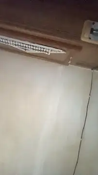 Dllarge online show from October 15, 3:25 am