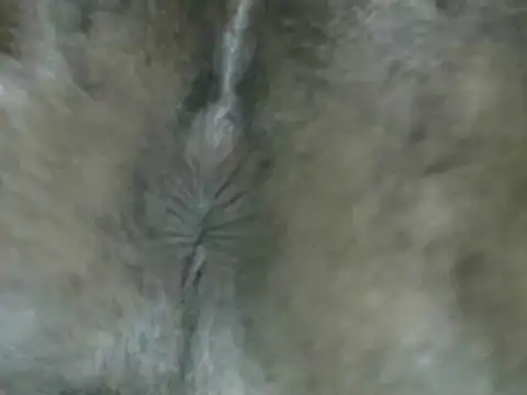 Snapshot of michel_sc chatting on September 15, 5:31 am michel sc online show from September 15, 5:31 am