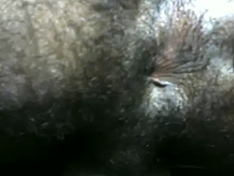 Snapshot of michel_sc chatting on December 9, 4:12 am michel sc online show from December 9, 4:12 am
