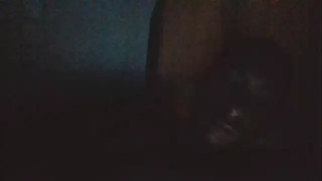 Snapshot of Jose_Smoke chatting on February 19, 4:23 am Jose Smoke online show from February 19, 4:23 am