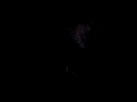 bogbosdick online show from March 3, 8:18 pm