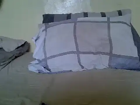 Snapshot of Delicious-D chatting on January 14, 10:17 am Delicious-D online show from January 14, 10:17 am