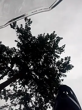 drencho0729 online show from February 18, 1:53 pm