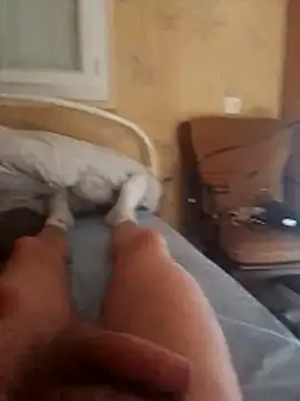 seba tien online show from November 11, 2:55 pm