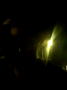 Dennis 2024 online show from November 1, 12:47 am