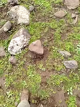 murokkk31 online show from March 25, 9:02 am