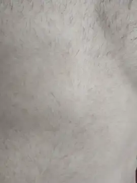 LopeseLua online show from February 10, 12:32 pm