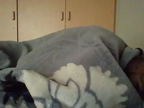 Snapshot of TheeMassageMobileSpa chatting on February 20, 6:28 am TheeMassageMobileSpa online show from February 20, 6:28 am
