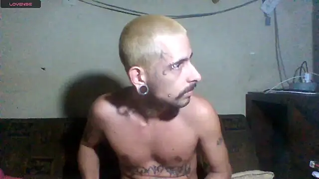 sellvageria online show from April 26, 11:56 pm