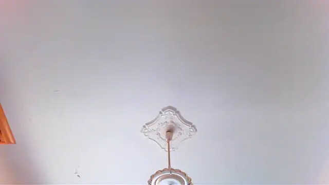 wolfman38 online show from April 28, 8:41 am