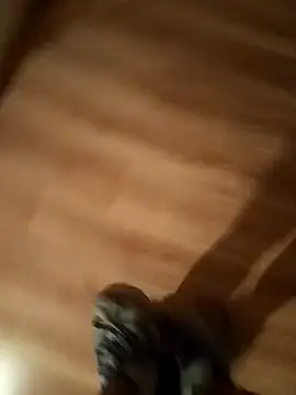 pana1978loco online show from November 29, 6:48 am