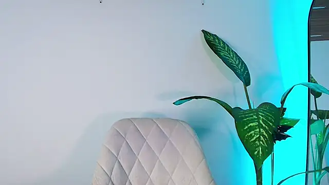 AndyPalmer  online show from November 6, 11:46 am