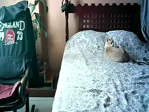 2mgars online show from January 17, 6:11 pm