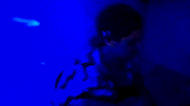 couplemilk online show from April 6, 4:09 am