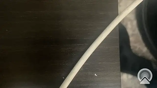 shuai321 online show from February 13, 7:56 am