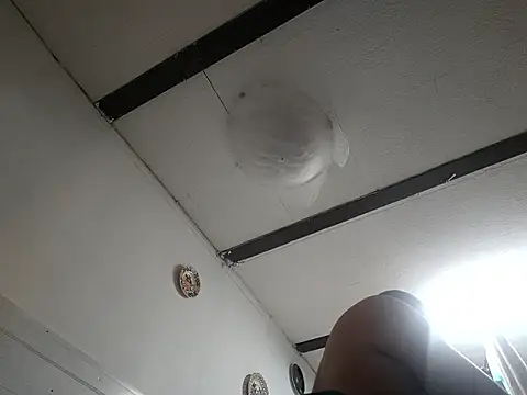 brbrrbrbrb online show from March 28, 2:01 am