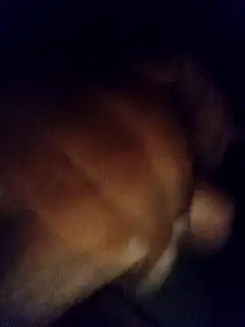 jaxyboys online show from February 3, 4:46 am