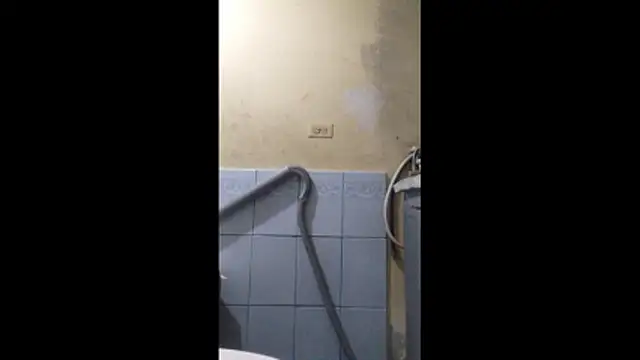 Dmoa34 online show from January 13, 3:55 am