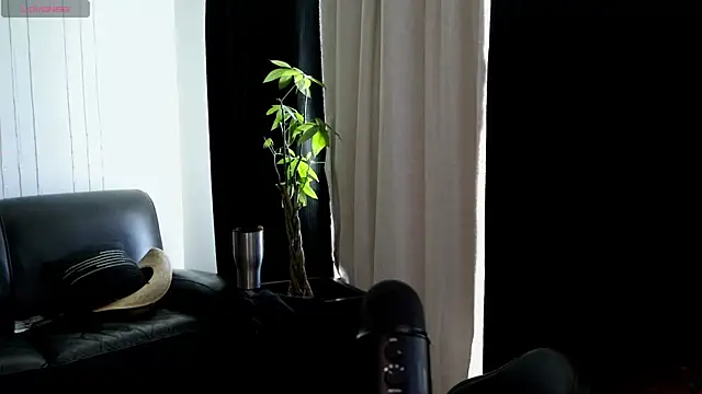 DamienSliick online show from November 23, 8:31 pm