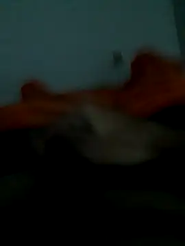 lm279 online show from October 25, 6:09 pm